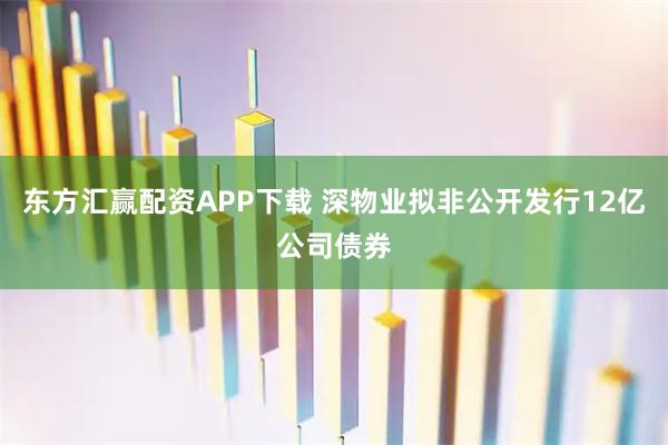 东方汇赢配资APP下载 深物业拟非公开发行12亿公司债券