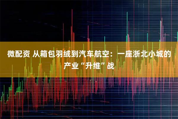 微配资 从箱包羽绒到汽车航空：一座浙北小城的产业“升维”战